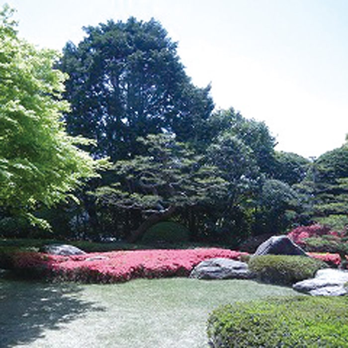 松風園｜日本庭園福岡｜福岡市文化交流公園｜平尾